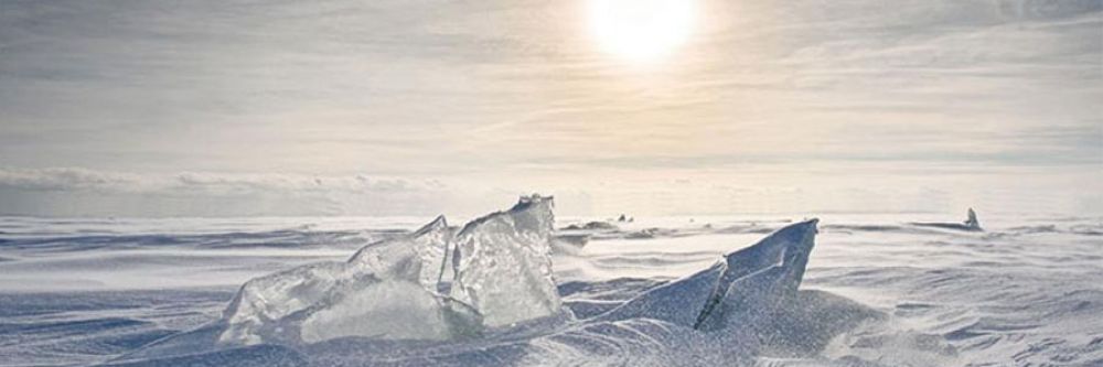 دوربین‌های بیرونی